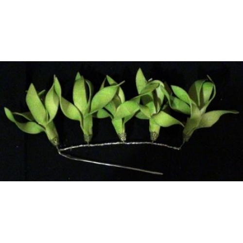 Semanggi Bunga Kenanga (artificial flowers)